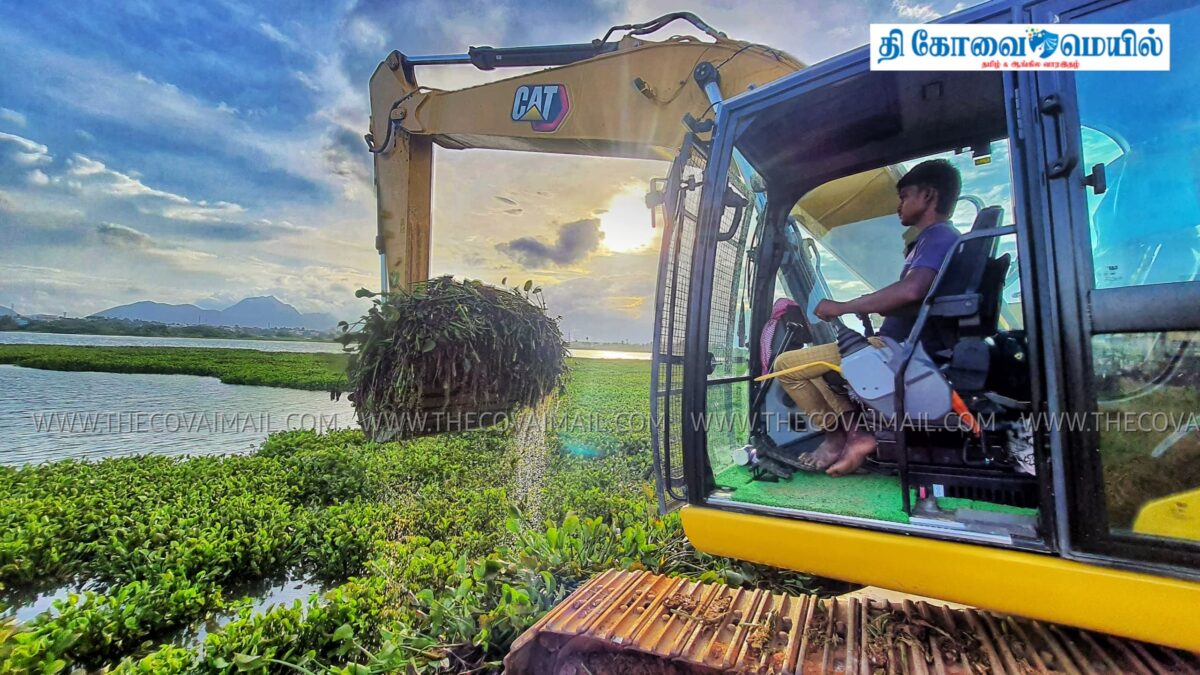 குறிச்சி குளத்தில் உள்ள ஆகாயத்தாமரைகளை அகற்றுப்பணி தீவிரம்