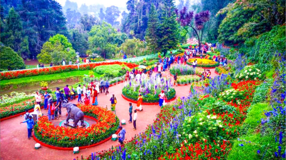 ooty