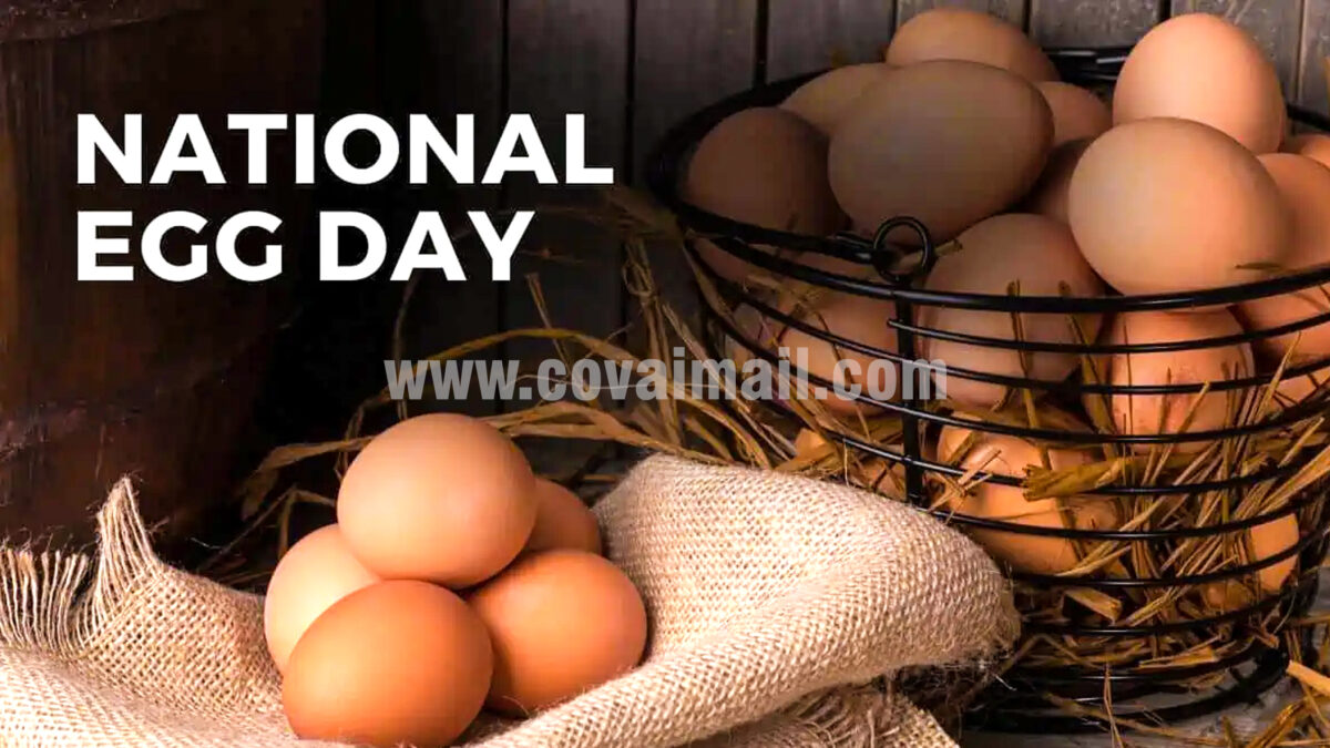National Egg Day; What Makes Eggs a Superfood?