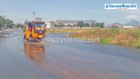 WhatsApp Image 2025 07 29 at 3.45.26 PM