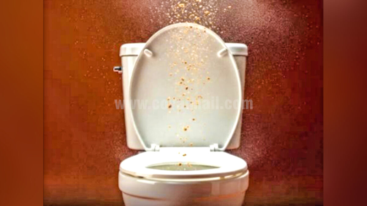 Are you flushing the toilet with the Lid Open? Read this before you do it again!