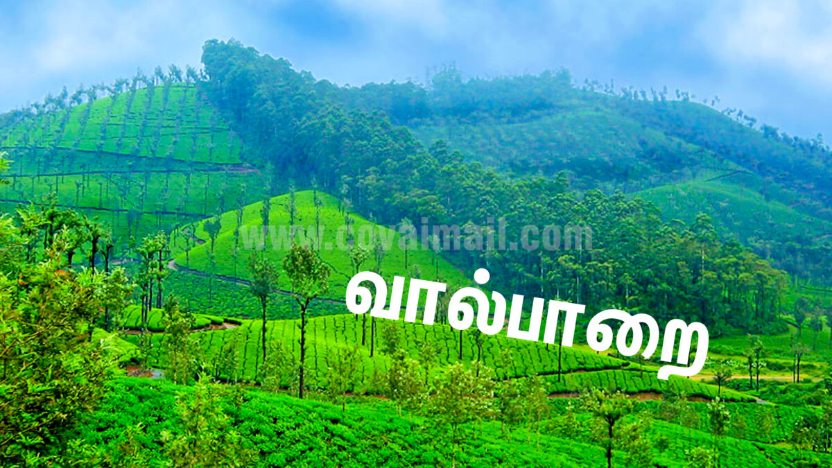 வால்பாறை செல்ல நவம்பர் 1 முதல் இ-பாஸ் கட்டாயம்  