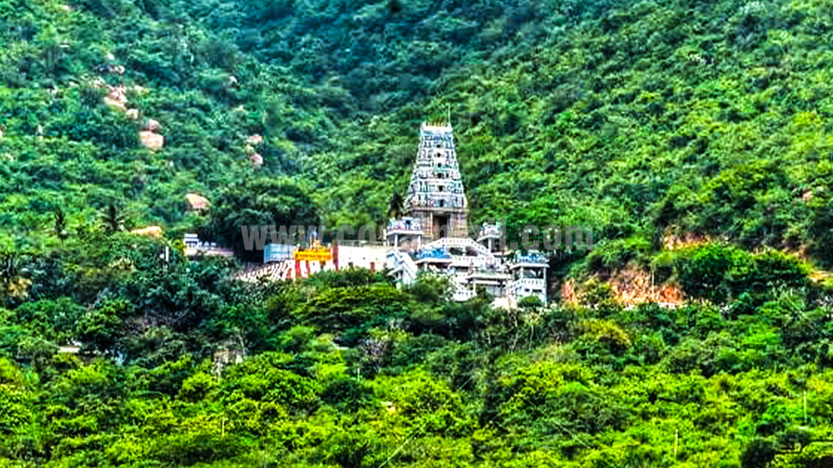 மருதமலை செல்ல டூவீலர், கார்களுக்கு தடை