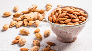 ALMonds 1