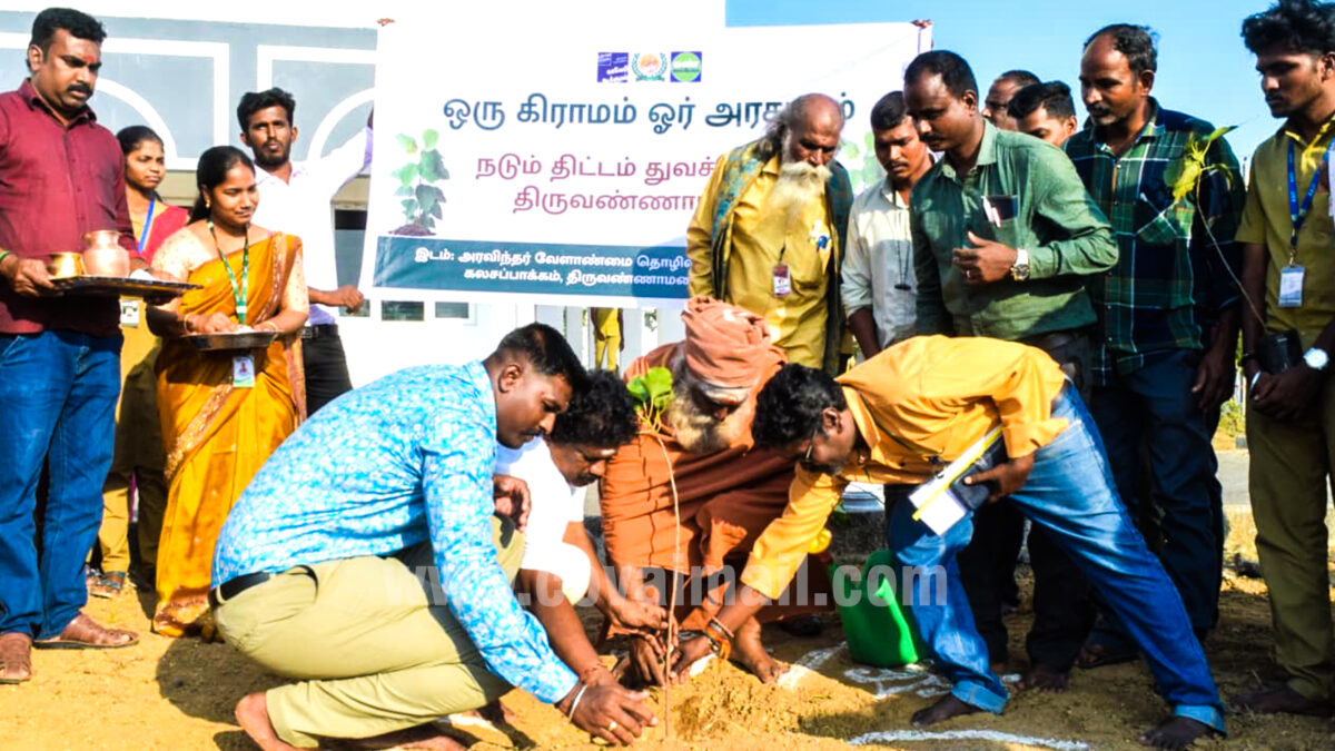திருவண்ணாமலையில் ‘ஒரு கிராமம் ஓர் அரசமரம்’ திட்டம் தொடக்கம்