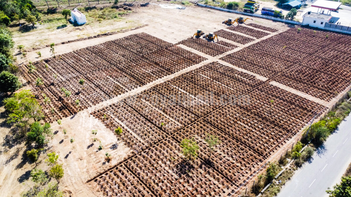 Siruthuli to raise an Urban Forest in Annur with 17000+ trees