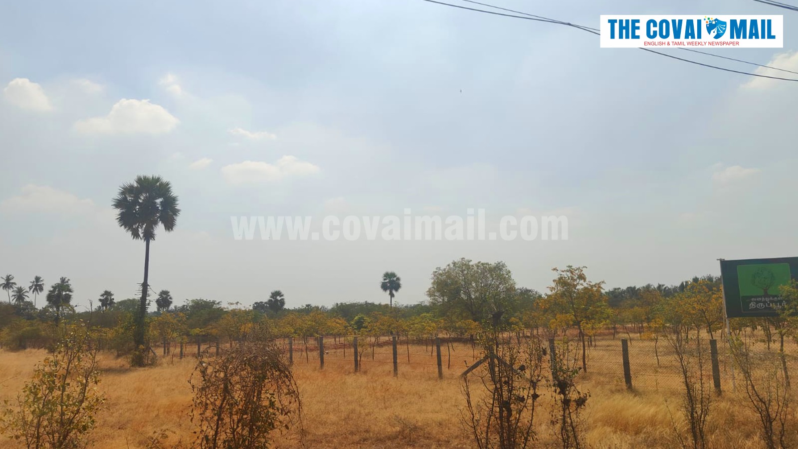 WhatsApp Image 2026 02 20 at 9.35.25 AM 1