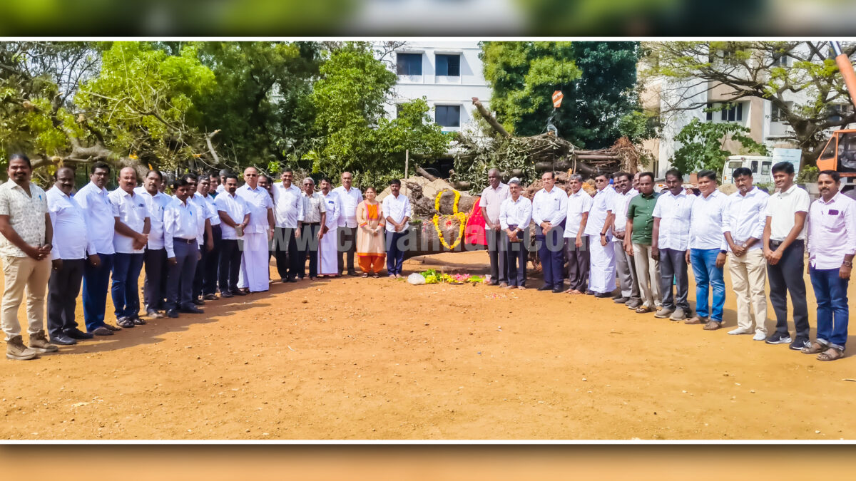 CEBACA ensures successful relocation of decades-old trees in Coimbatore