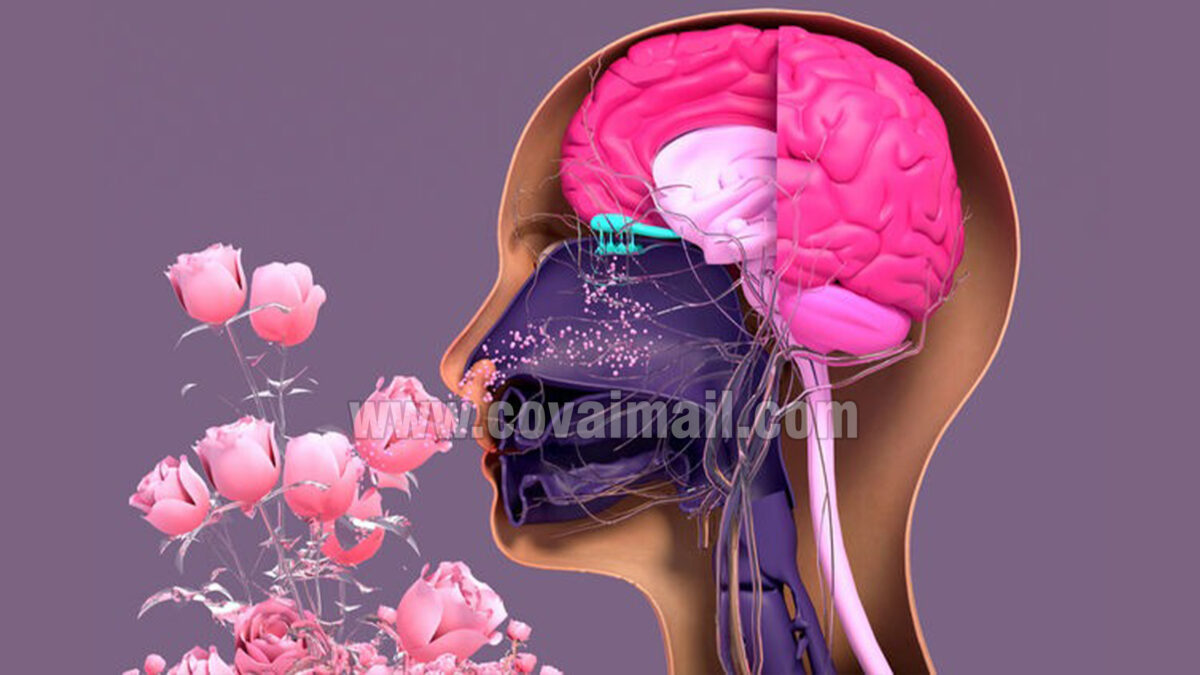 ஒரு வாசனை… ஆயிரம் நினைவுகள்!