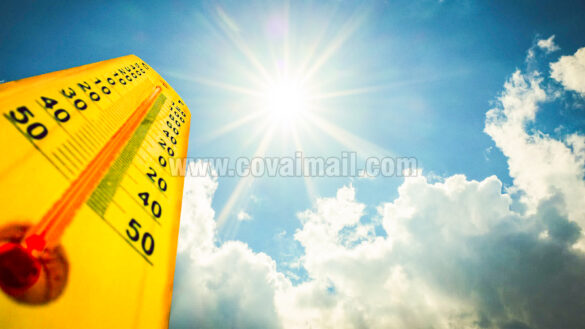 Summer resaecrh