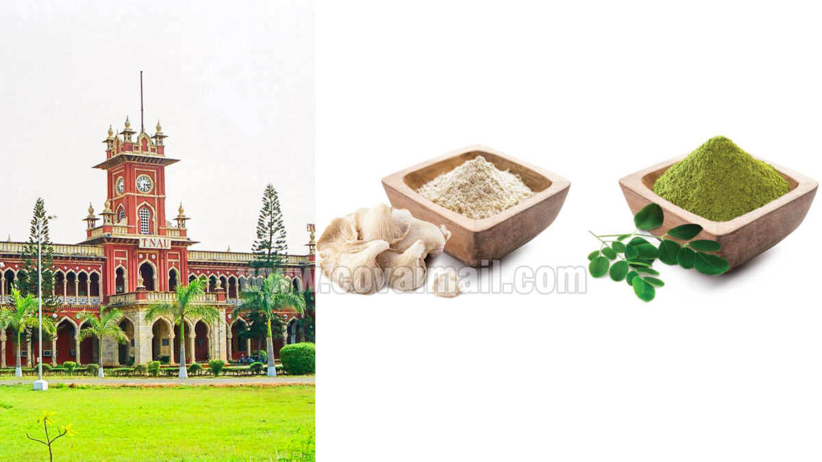 TNAU conducts training on value addition of mushrooms and Moringa on Apr 28 & 29