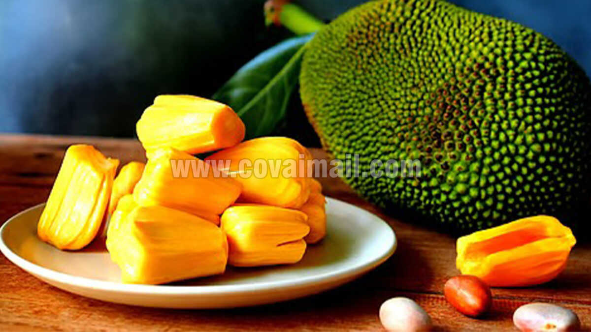 கோடை காலத்தை முன்னிட்டு பலாப்பழம் சீசன் தொடக்கம்