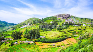 ooty 1