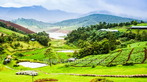 ooty