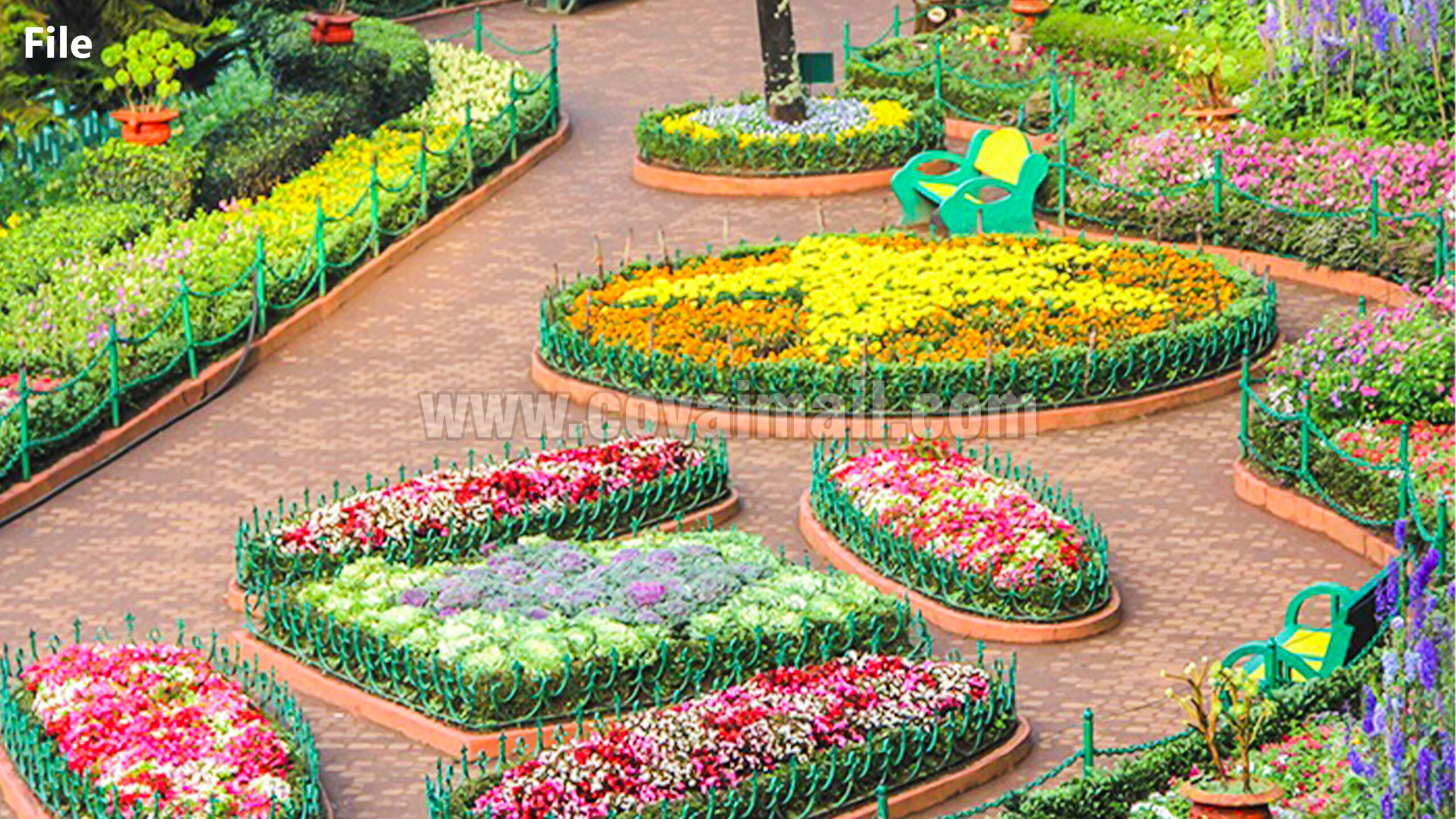 summer fest 2 scaled