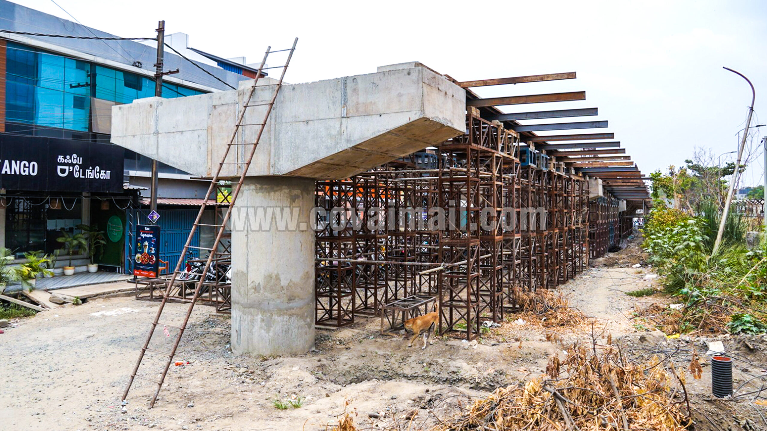 thannerpandhal scaled