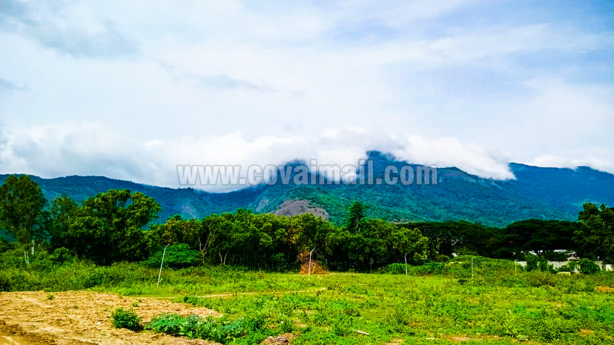 கோவை மாநகரில் அடுத்து எப்போது மழைக்கு வாய்ப்பு? இதோ தகவல்