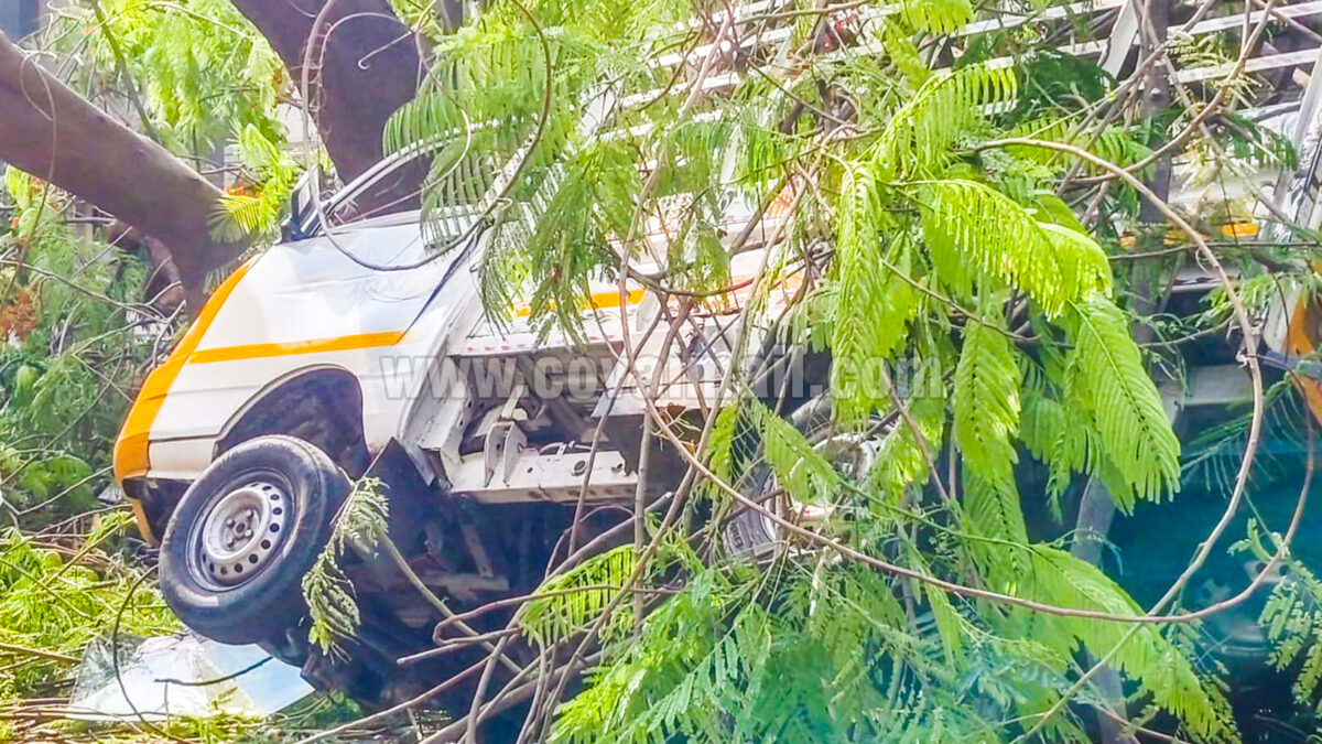 ஆர்.எஸ்.புரத்தில் சரக்கு வாகனம் மீது மரம் விழுந்து விபத்து 