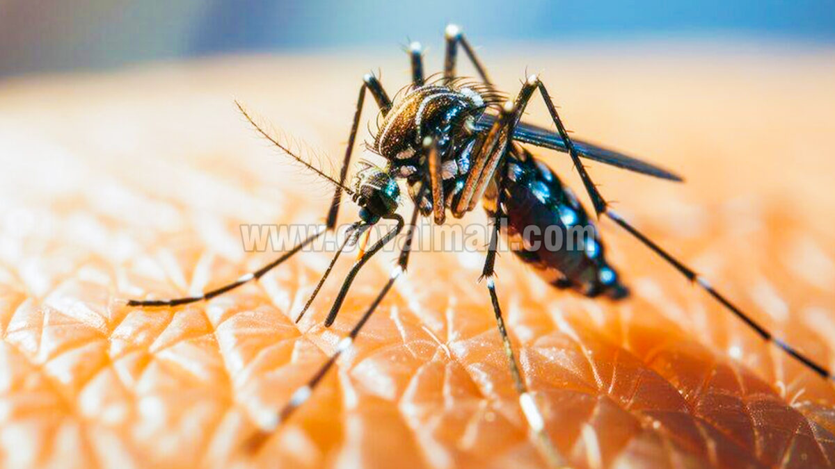 Parents need to take dengue seriously – experts