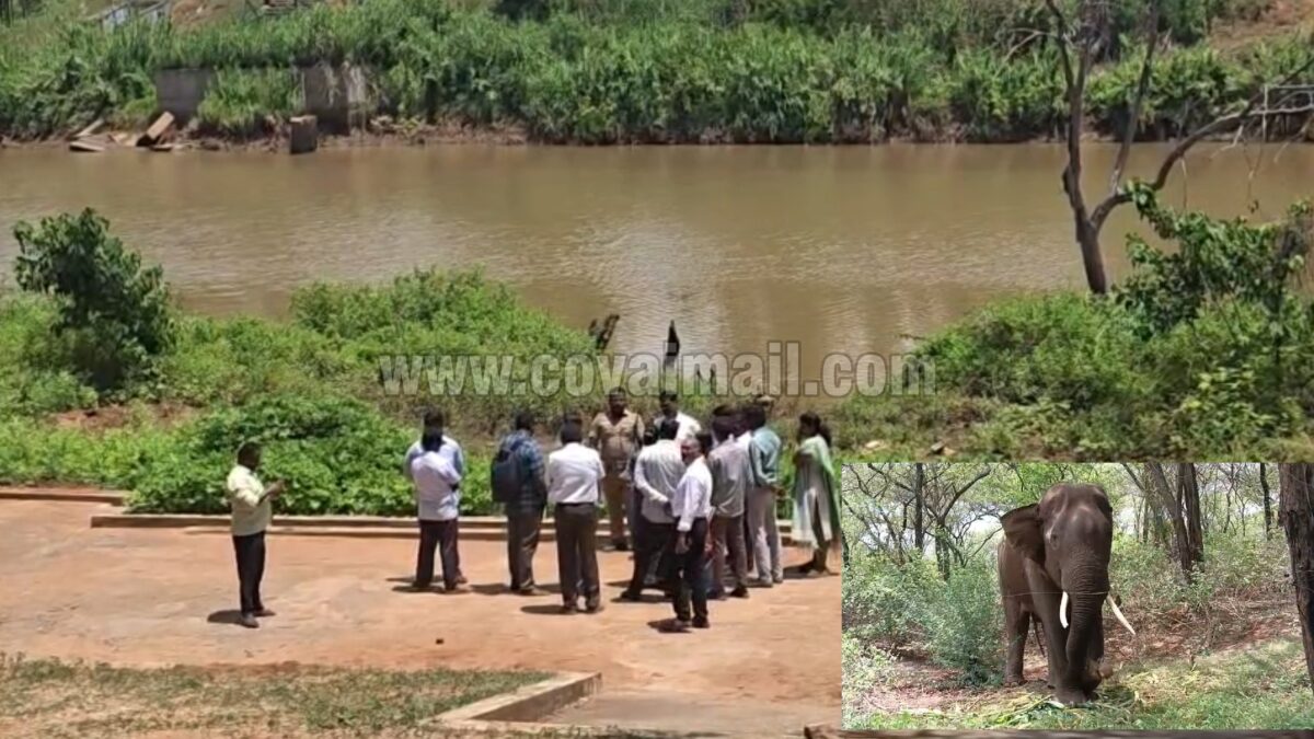 மேட்டுப்பாளையத்தில் கோயில் யானைகளுக்கான முகாமை மீண்டும் நடத்த திட்டம்