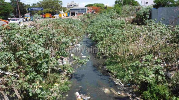 cooum