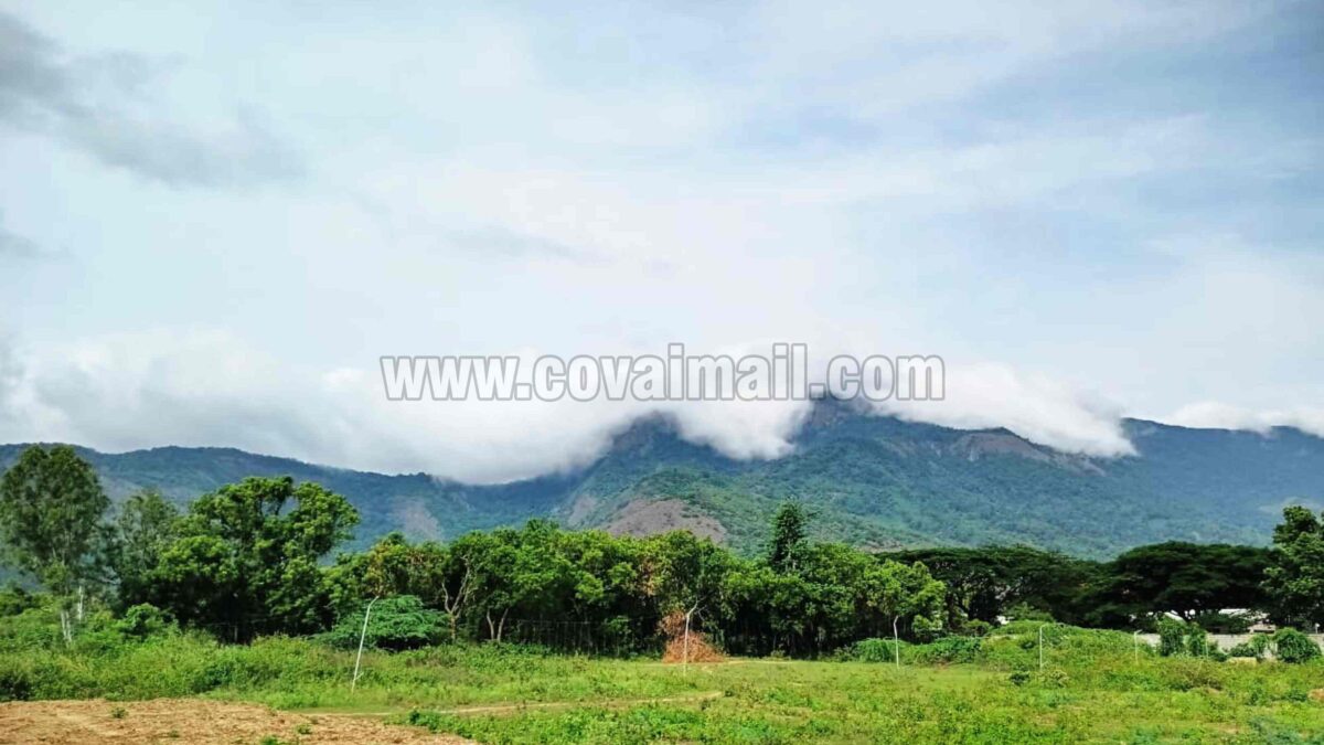 கோவை மாநகரில் இந்த வாரம் வானிலை எப்படி ?