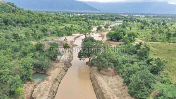 SELIKUMKOVAI