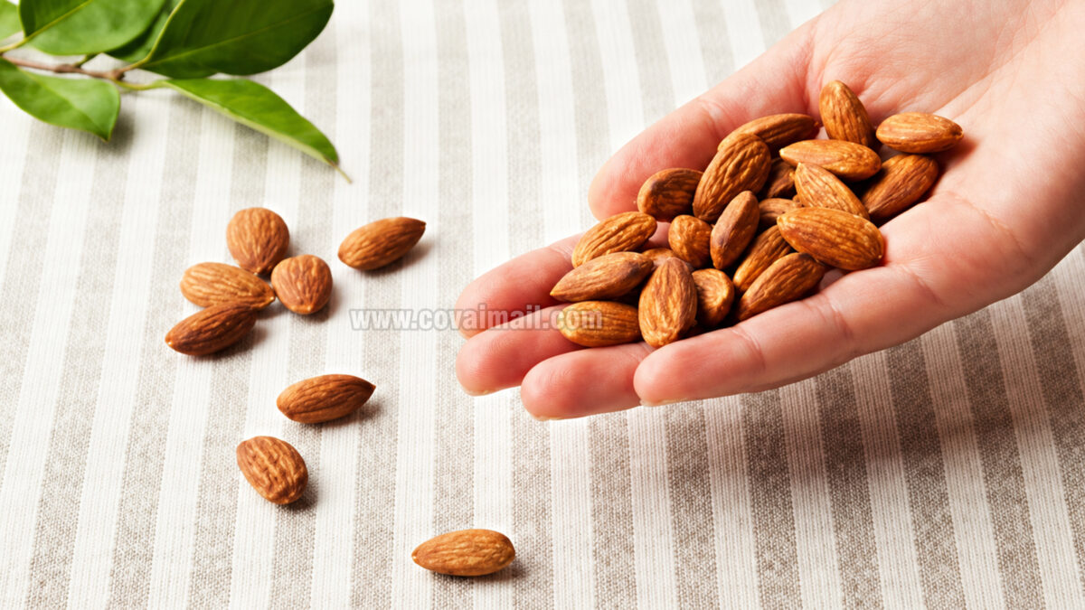 Myth or Fact: Do Almonds Cause Body Heat?