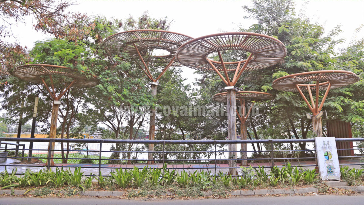 பராமரிப்பும், பாதுகாப்பும் வாலாங்குளம் கரைப்பகுதியில் தேவை !