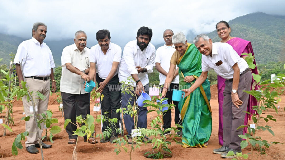 சச்சிதானந்த பள்ளியில் மியாவாக்கி முறை மரம் வளரப்பு
