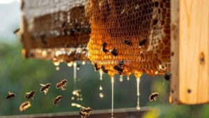 8. honey