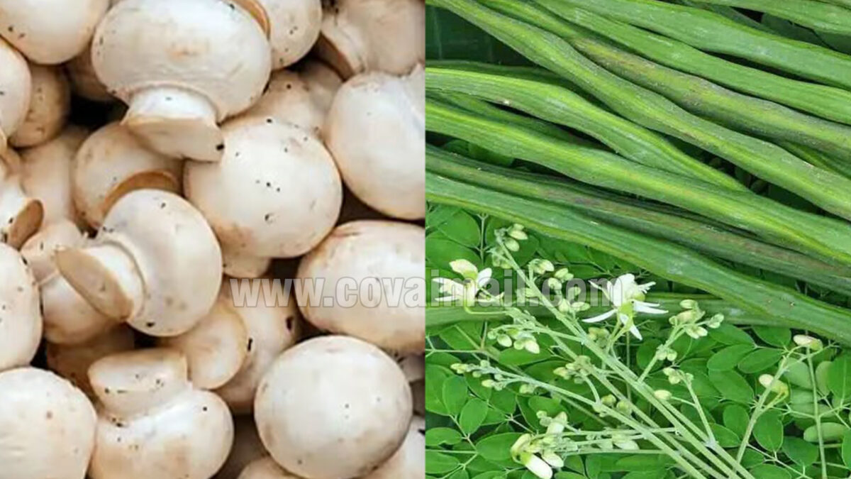 காளான், முருங்கையில் மதிப்பூட்டல் பயிற்சி