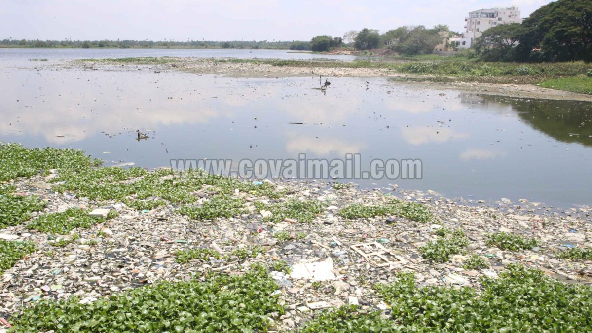 மக்களை ஈர்த்த சிங்காநல்லூர் ‘போட் ஹவுஸ்’ மாசை ஈர்க்குமிடமாக மாறியுள்ளது!