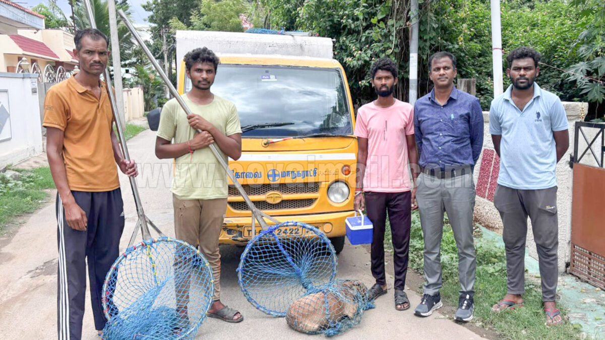 கோவையில் ஒரே நாளில் சுமார் 1,000-க்கும் மேற்பட்ட தெரு நாய்களுக்கு தடுப்பூசி
